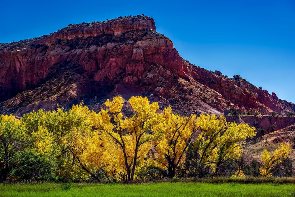 new mexico safe to visit